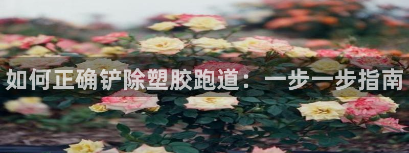 尊龙 ag：如何正确铲除塑胶跑道：一步一步指南