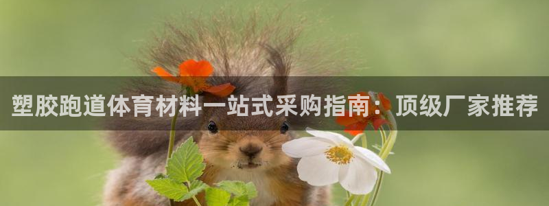 尊龙官网在哪里：塑胶跑道体育材料一站式采购指南：顶级厂家推荐