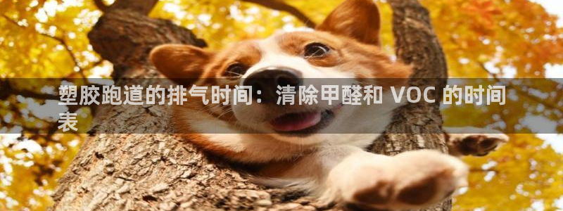 z6尊龙平台是哪里的：塑胶跑道的排气时间：清除甲醛和 VOC 的时间
表