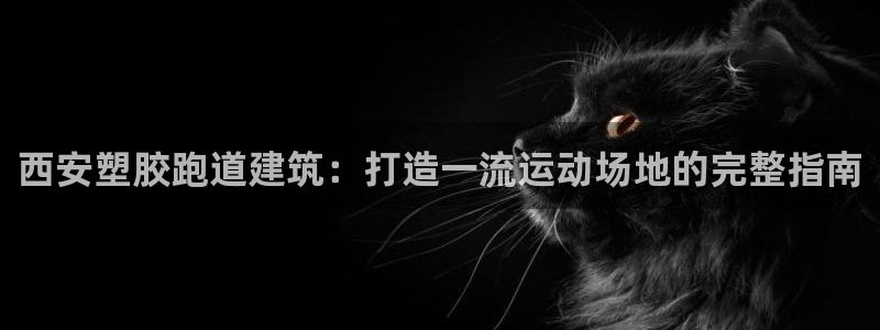 尊龙凯时城游戏官网：西安塑胶跑道建筑：打造一流运动场地的完整指南