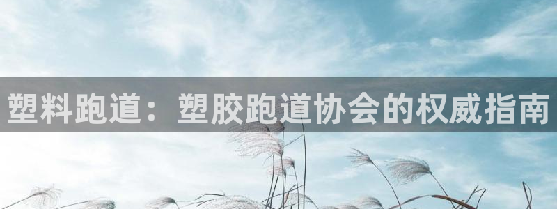 尊龙最近一次露面：塑料跑道：塑胶跑道协会的权威指南
