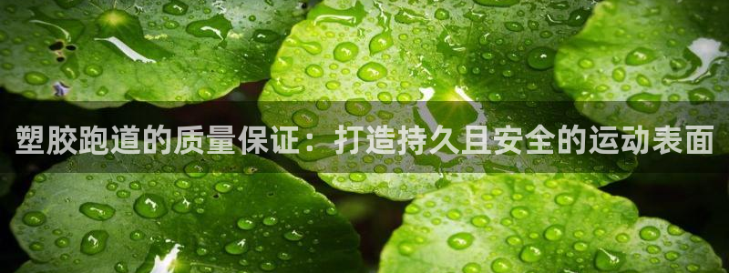 尊龙信息科技有限公司：塑胶跑道的质量保证：打造持久且安全的运动表面