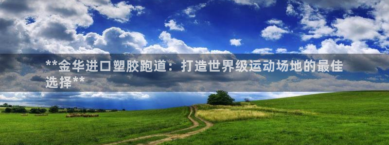 凯时尊龙app国际官方网站：**金华进口塑胶跑道：打