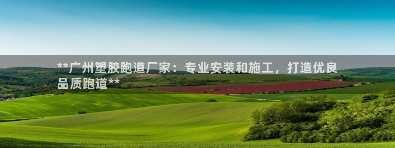 尊龙新版app首页：**广州塑胶跑道厂家：专业安装和施工，打造优良
品质跑道**