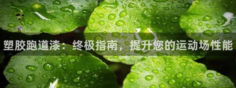 尊龙一生也走不出自己的童年：塑胶跑道漆：终极指南，提升您的运动场性能