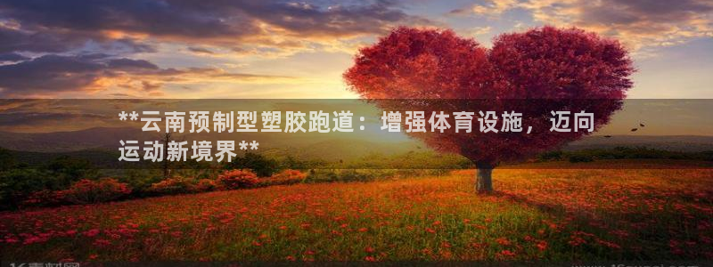尊龙品牌怎么样：**云南预制型塑胶跑道：增强体育设施，迈向
运动新境界**