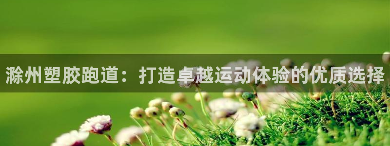尊龙凯时 - 人生就是搏手机登录：滁州塑胶跑道：打造卓越运动体验的优质选择