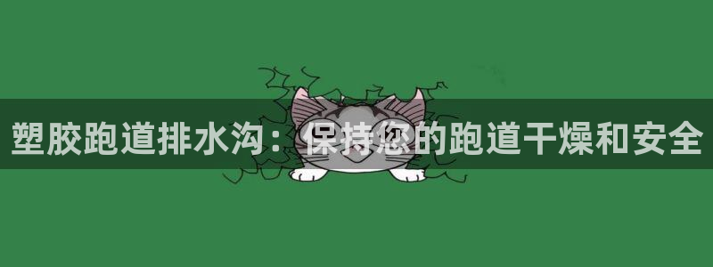 尊龙app|首选agdaohang：塑胶跑道排水沟：保持您的跑道干燥和安全