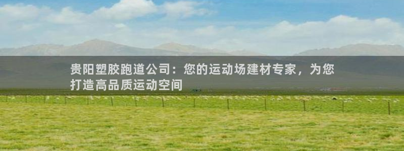 尊龙凯时这个平台怎么样：贵阳塑胶跑道公司：您的运动场建材专家，为您
打造高品质运动空间