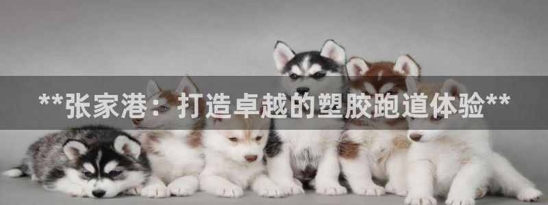 尊龙凯时是大平台吗：**张家港：打造卓越的塑胶跑道体验**