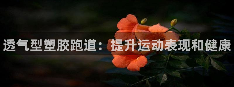 尊龙d88官网准认来就送38：透气型塑胶跑道：提升运动表现和健康