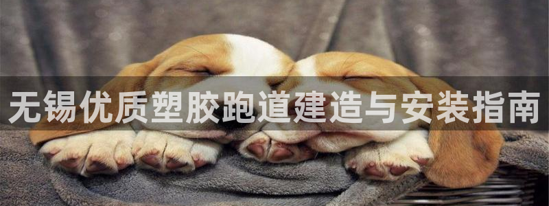 尊龙凯时福米推荐人：无锡优质塑胶跑道建造与安装指南