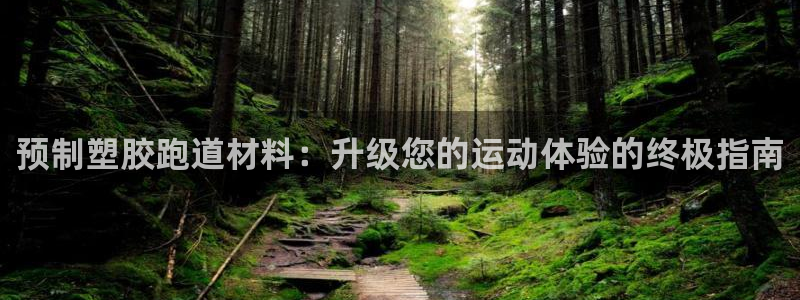 尊龙游戏官网：预制塑胶跑道材料：升级您的运动体验的终