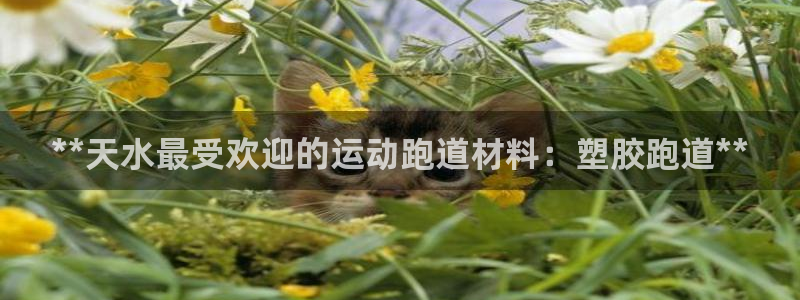 尊龙旗舰厅app：**天水最受欢迎的运动跑道材料：塑胶跑道**