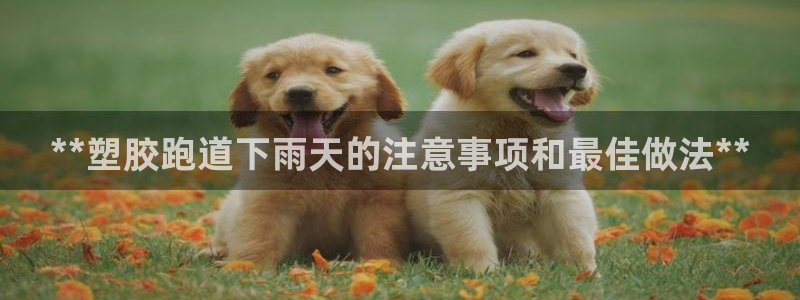 凯时官网联系方式：**塑胶跑道下雨天的注意事项和最佳做法**