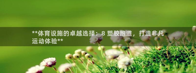 尊龙官网在哪里：**体育设施的卓越选择：8 塑胶跑道，打造非凡
运动体验**