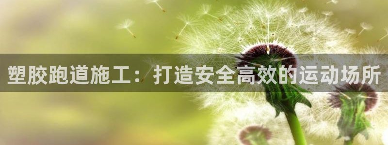 尊龙凯时人生就是搏·(中国)官网：塑胶跑道施工：打造
