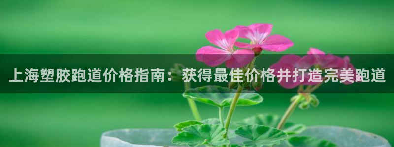 尊龙凯时 - 人生就是搏有假吗：上海塑胶跑道价格指南