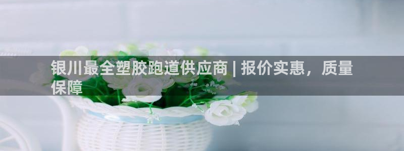 尊龙网站手机下载：银川最全塑胶跑道供应商 | 报价实惠，质量
保障