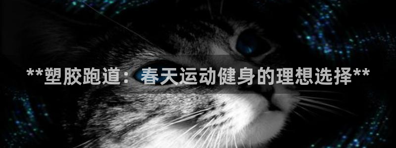 尊龙 中国：**塑胶跑道：春天运动健身的理想选择**