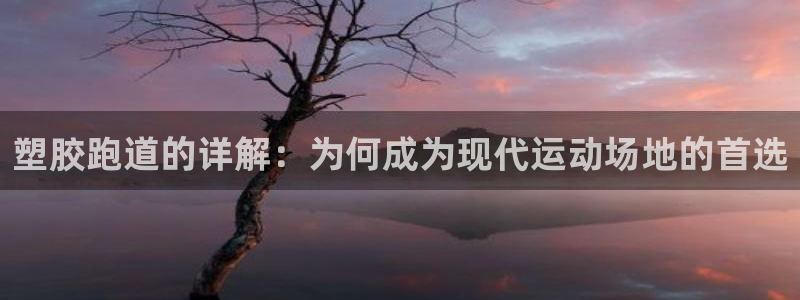 d88尊龙可靠送38元：塑胶跑道的详解：为何成为现代运动场地的首选