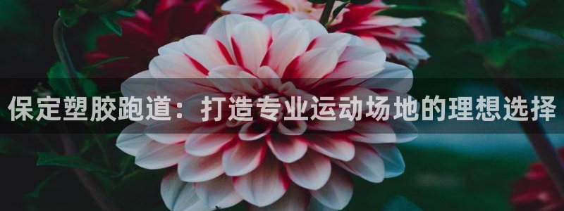 尊龙凯时人生就是博·(中国)官网首页
