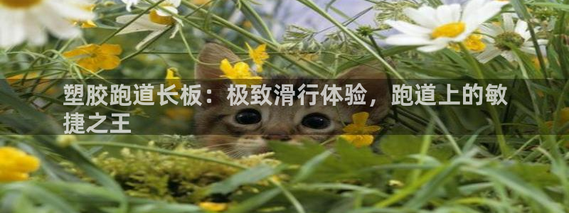 尊龙专访：塑胶跑道长板：极致滑行体验，跑道上的敏
捷之王
