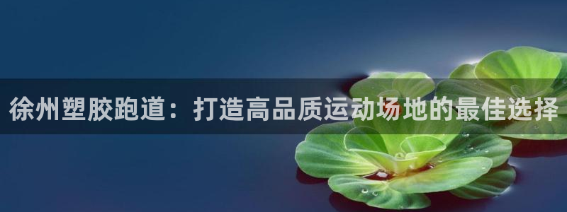 尊龙ktv怎么样：徐州塑胶跑道：打造高品质运动场地的最佳选择