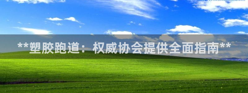 尊龙凯时开发：**塑胶跑道：权威协会提供全面指南**
