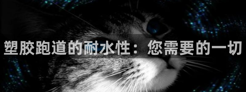 尊龙实业有限公司：塑胶跑道的耐水性：您需要的一切