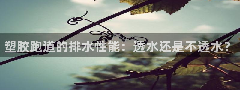 z6尊龙凯时ag旗舰厅：塑胶跑道的排水性能：透水还是不透水？