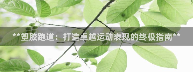 ag尊龙怎么样：**塑胶跑道：打造卓越运动表现的终极指南**