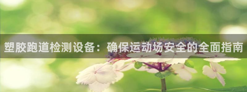 凯时国际网站域名：塑胶跑道检测设备：确保运动场安全的全面指南