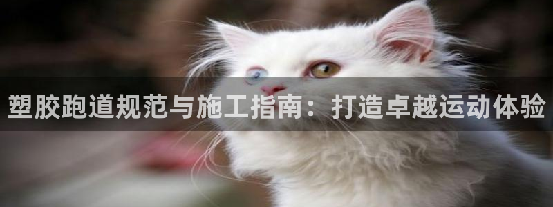 凯时国际娱乐官方网址：塑胶跑道规范与施工指南：打造卓越运动体验
