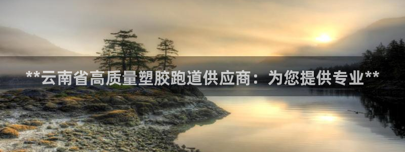 尊龙人生就是博旧：**云南省高质量塑胶跑道供应商：为您提供专业**