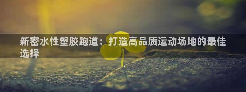 尊龙AG旗舰厅官网：新密水性塑胶跑道：打造高品质运动场地的最佳
选择