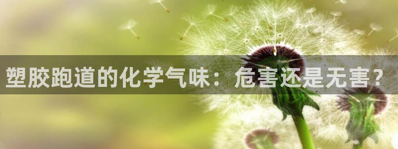 尊龙休闲e站怎么样