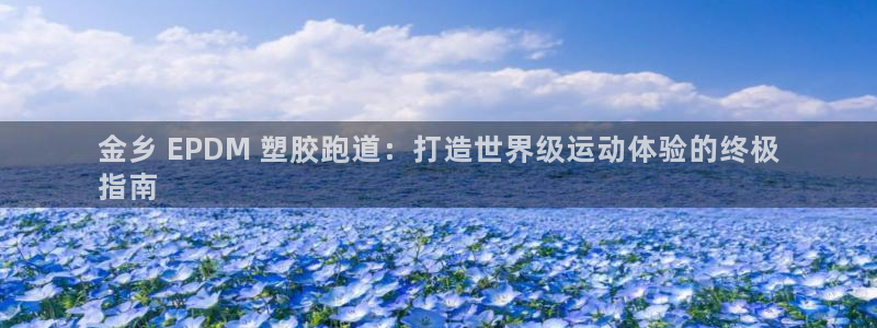 尊龙 10：金乡 EPDM 塑胶跑道：打造世界级运动体验的终极
指南