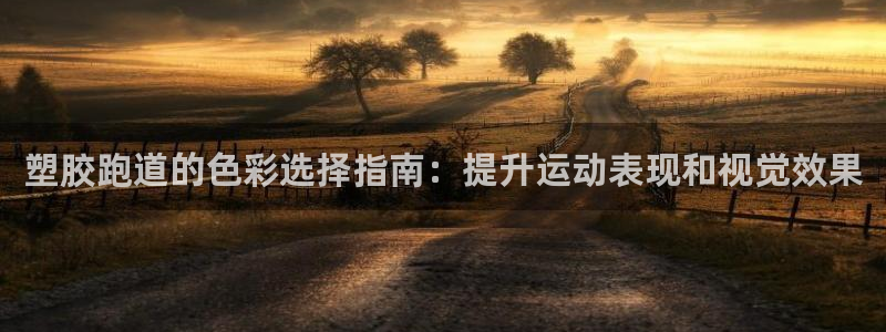 尊龙app认可ag发财网：塑胶跑道的色彩选择指南：提升运动表现和视觉效果