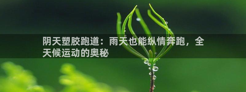 尊龙凯时国际：阴天塑胶跑道：雨天也能纵情奔跑，全
天候运动的奥秘