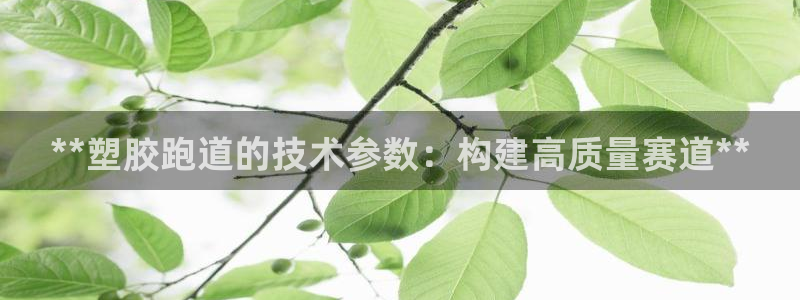 尊龙凯时怎么注销账号：**塑胶跑道的技术参数：构建高质量赛道**