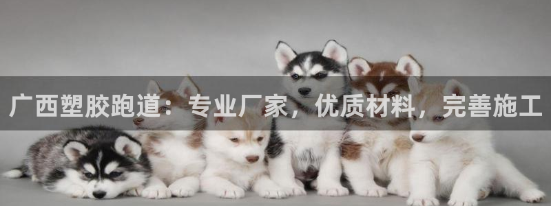尊龙网址苹果版下载：广西塑胶跑道：专业厂家，优质材料，完善施工