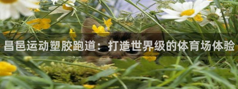 凯时k8官网首页：昌邑运动塑胶跑道：打造世界级的体育场体验