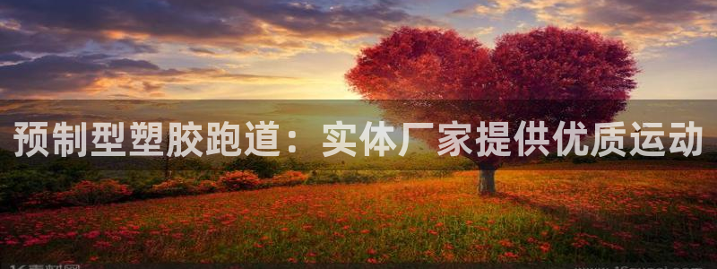 尊龙人生就是博D88：预制型塑胶跑道：实体厂家提供优质运动