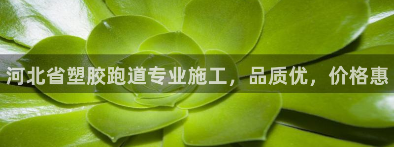 尊龙凯时官方网站下载：河北省塑胶跑道专业施工，品质优，价格惠