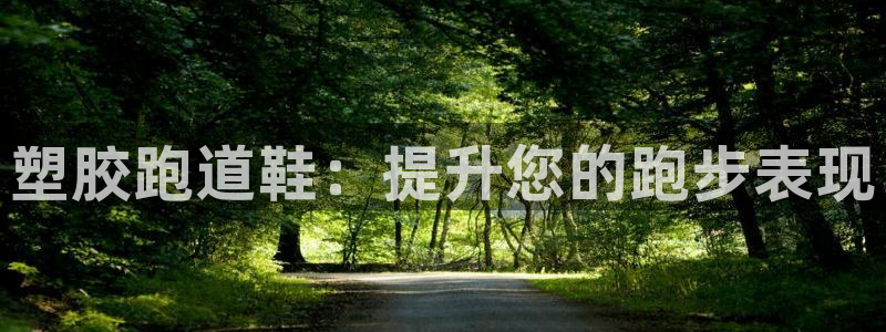 尊龙官方APP下载：塑胶跑道鞋：提升您的跑步表现
