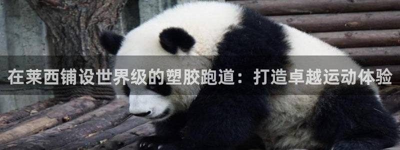 尊龙凯时合法吗?：在莱西铺设世界级的塑胶跑道：打造卓越运动体验