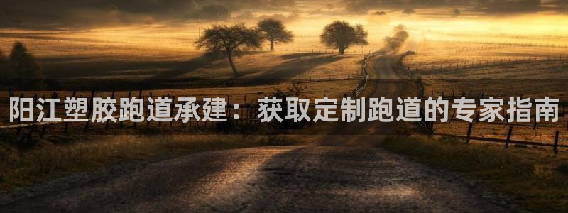 尊龙凯时账号异常审核提不了款怎么办：阳江塑胶跑道承建：获取定制跑道的专家指南