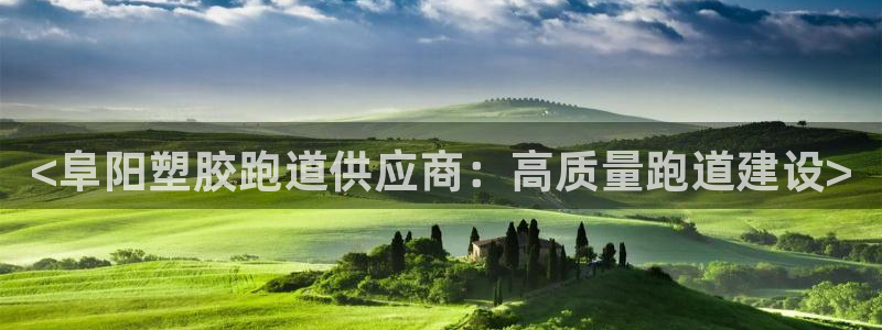 尊龙—人生就是博：<阜阳塑胶跑道供应商：高质量跑道建设>