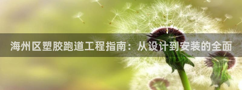 z6com尊龙凯时代理：海州区塑胶跑道工程指南：从设计到安装的全面
